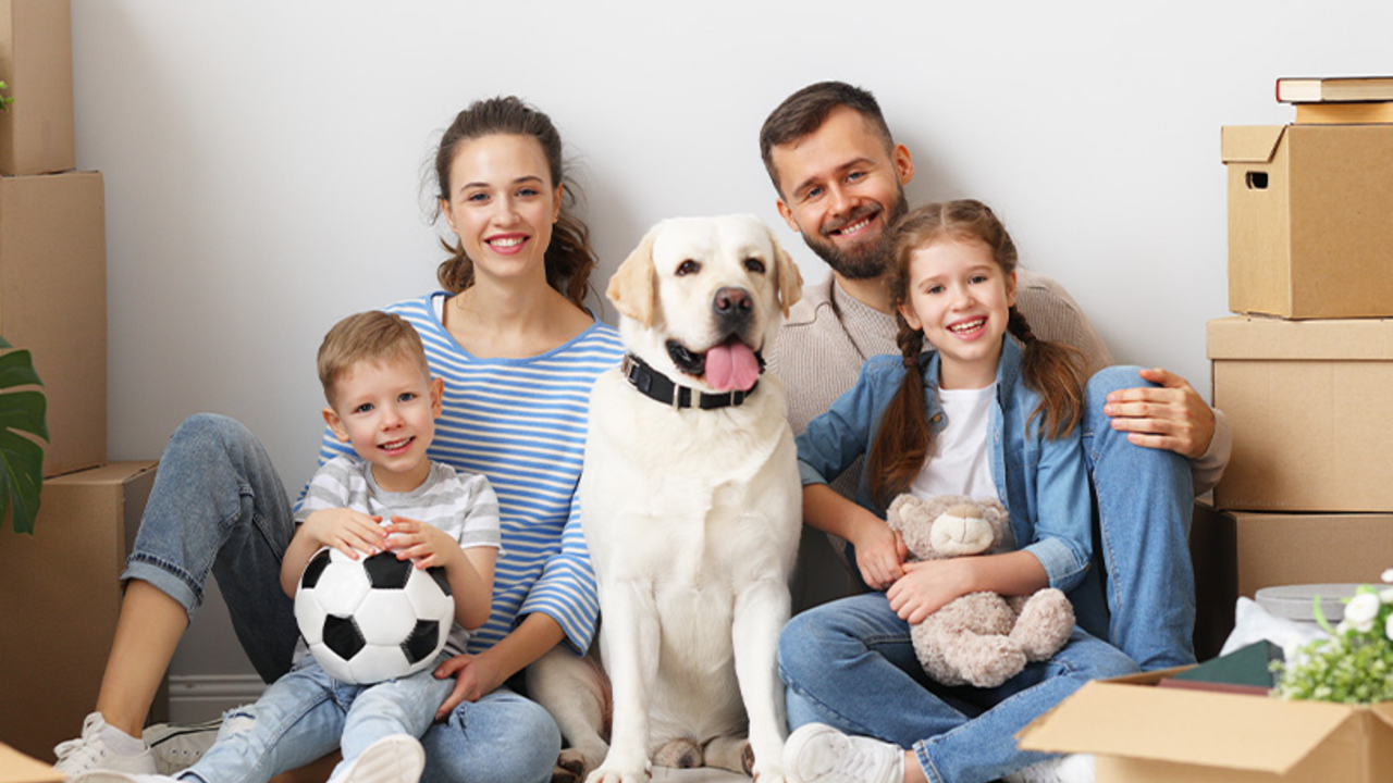 Auf Den Hund Gekommen: Passt Ein Haustier In Unsere Familie?